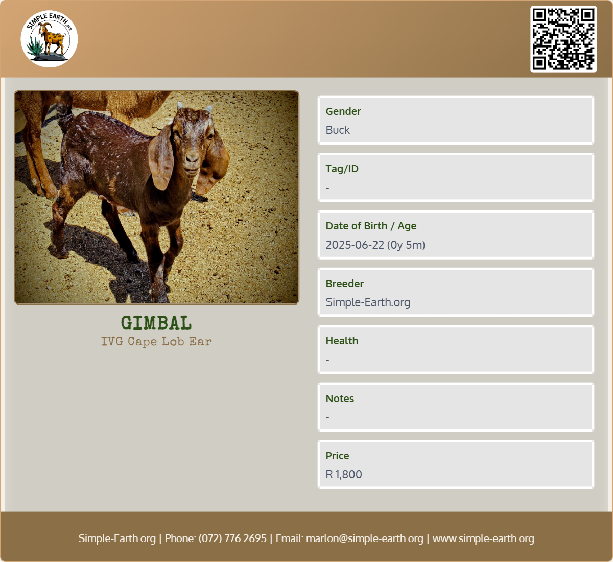 Gimbal - IVG Cape Lob Ear